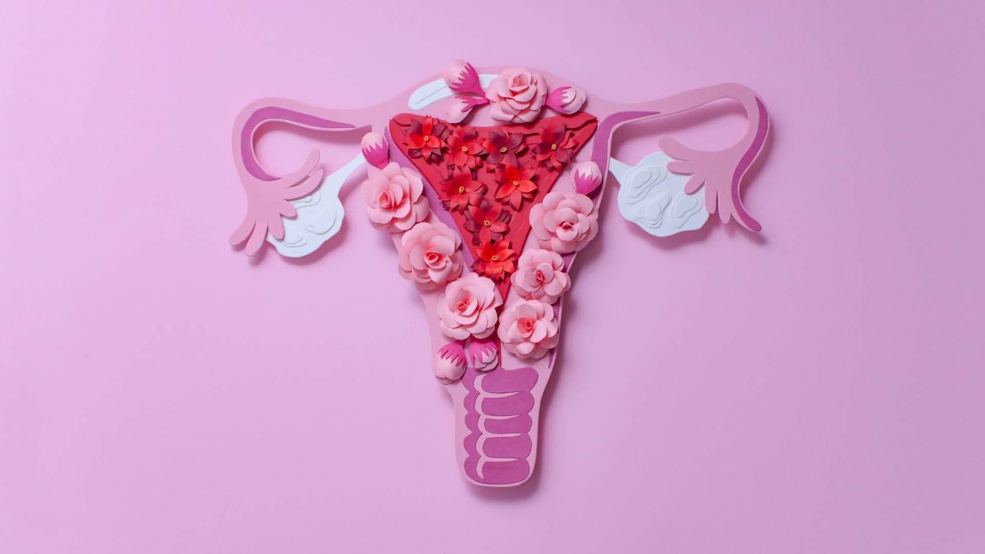 Eisprung Gebärmutter