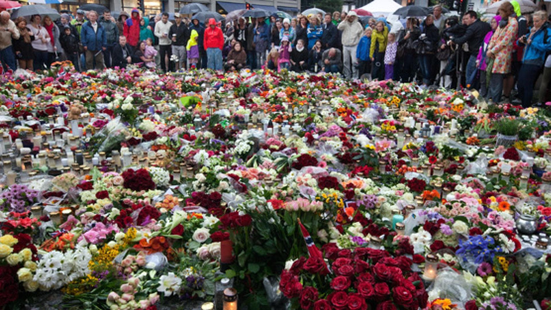 blumen-fuer-die-toten-des-norwegischen-amoklaufs-557x313-1221433.jpg