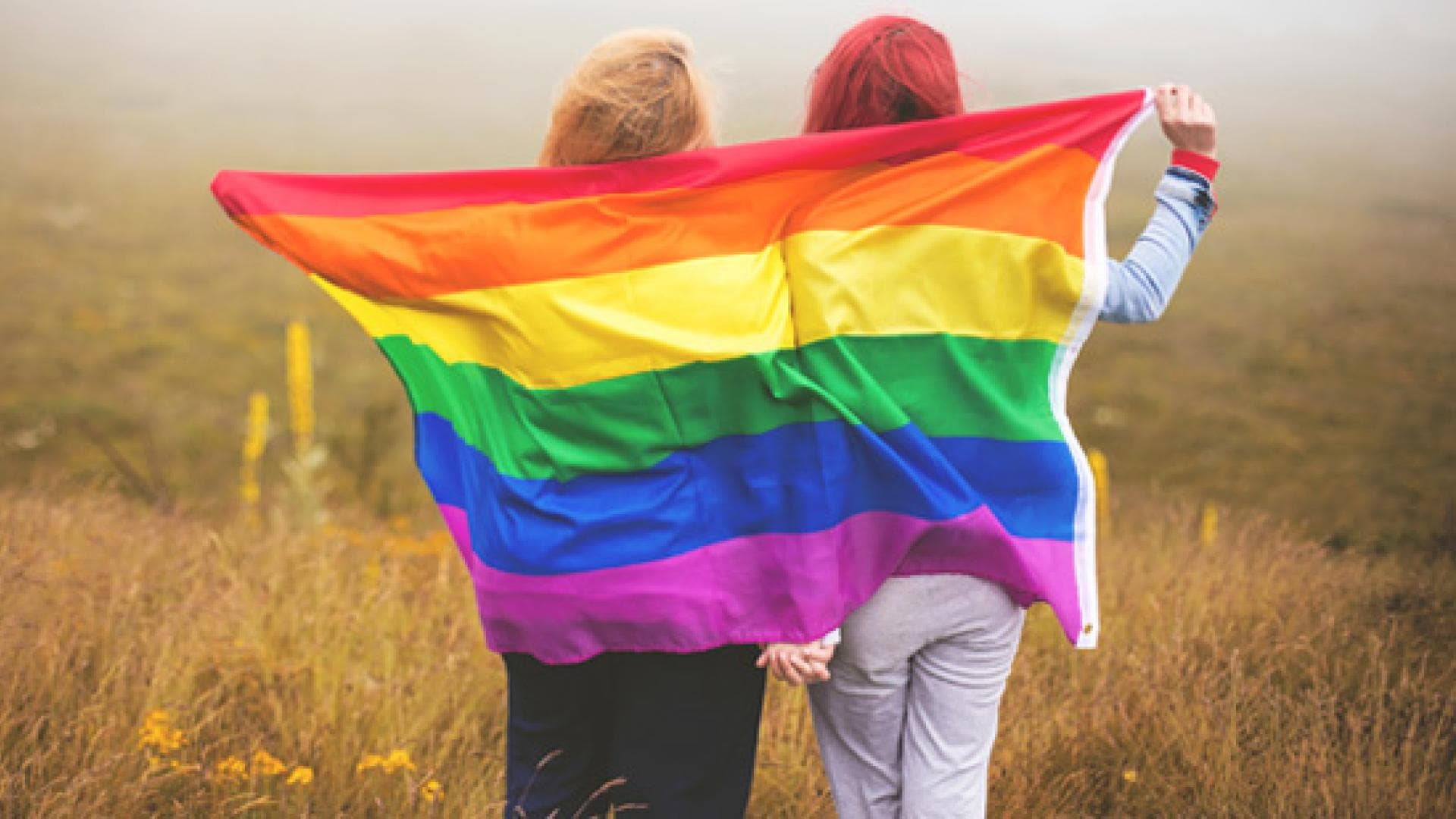 regenbogenflagge-inline-550-2128874.jpg