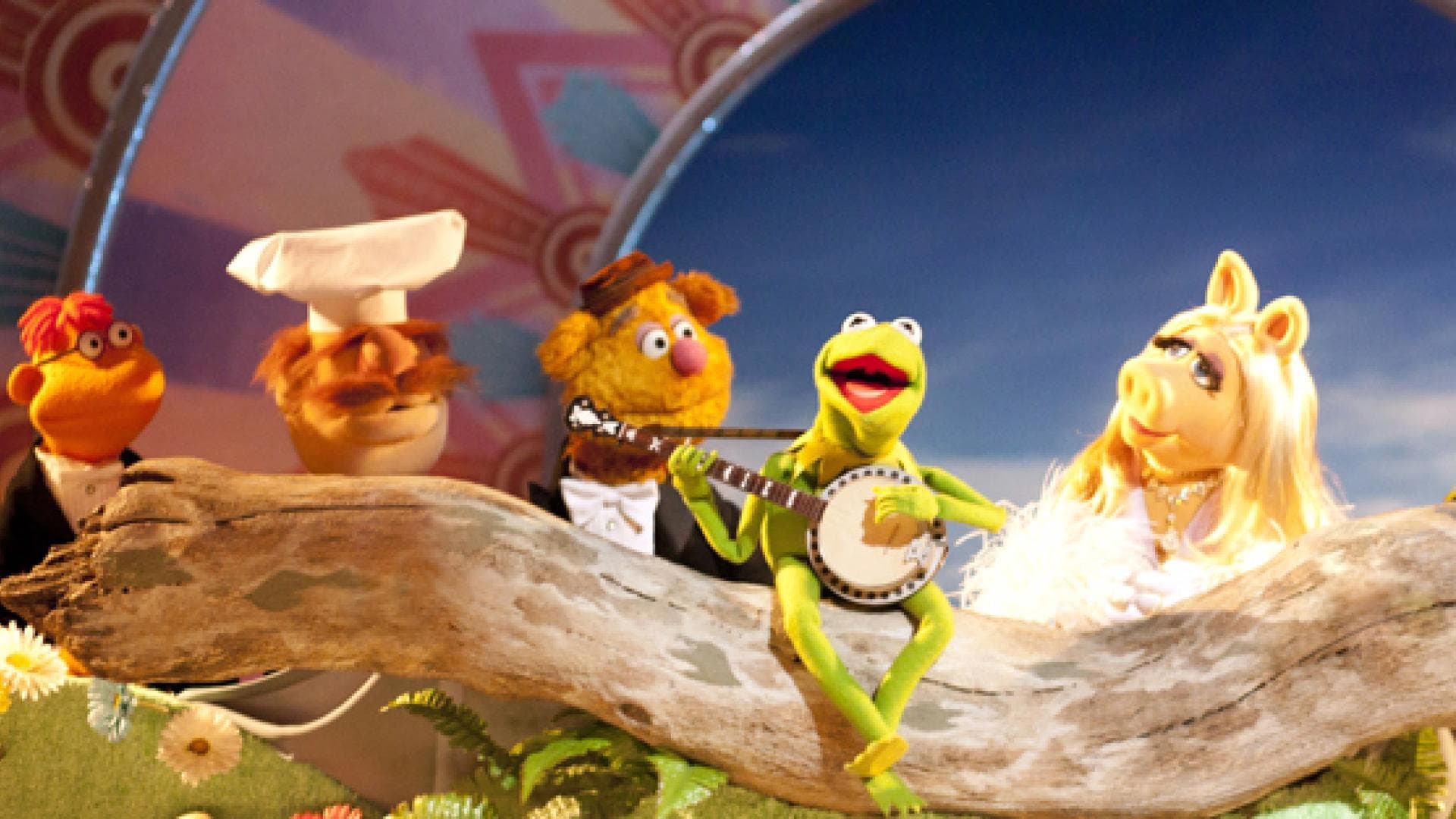 kermit-und-konsorten-coole-videos-557x313-1257167.jpg