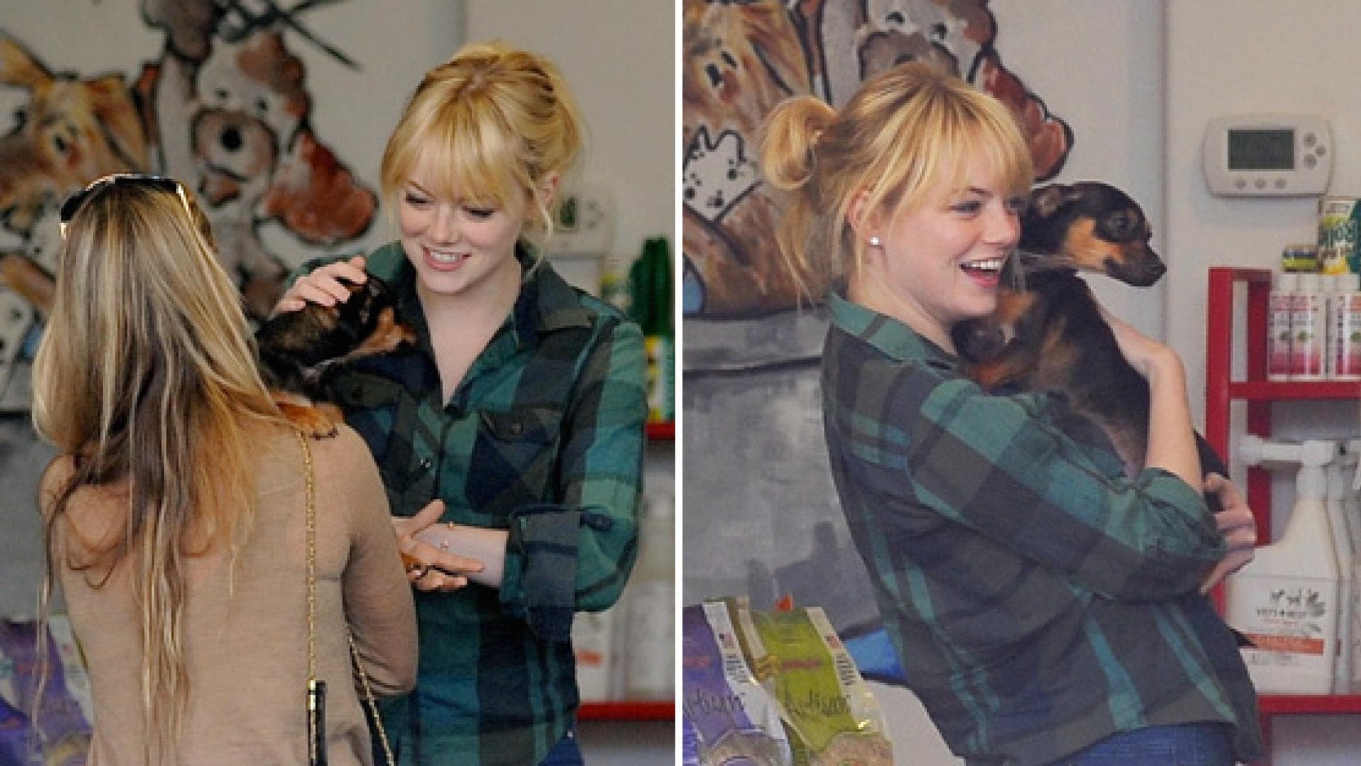 emma-stone-adoptiert-einen-hund-fotos-ddpimages-peta-557x313-1044870.jpg