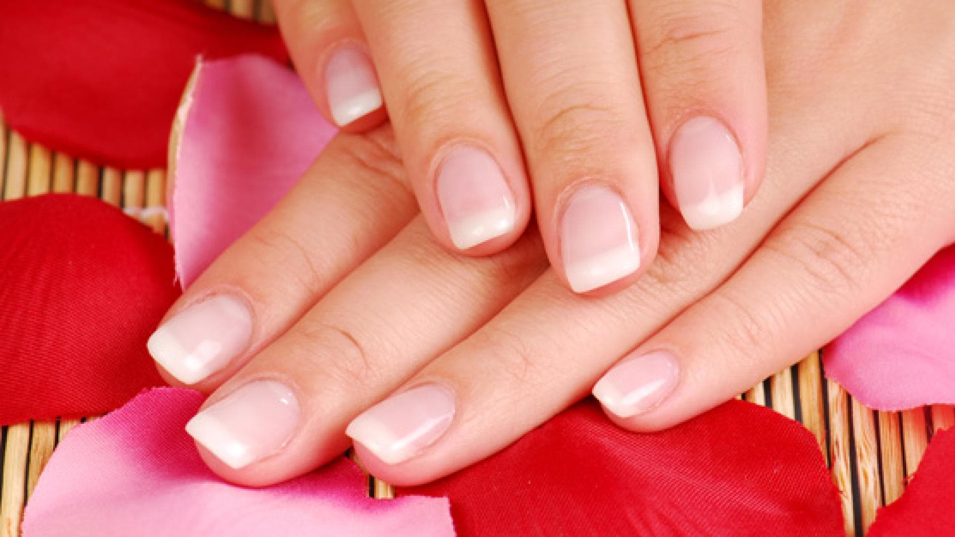 french-manicure-neu-557-425611.jpg