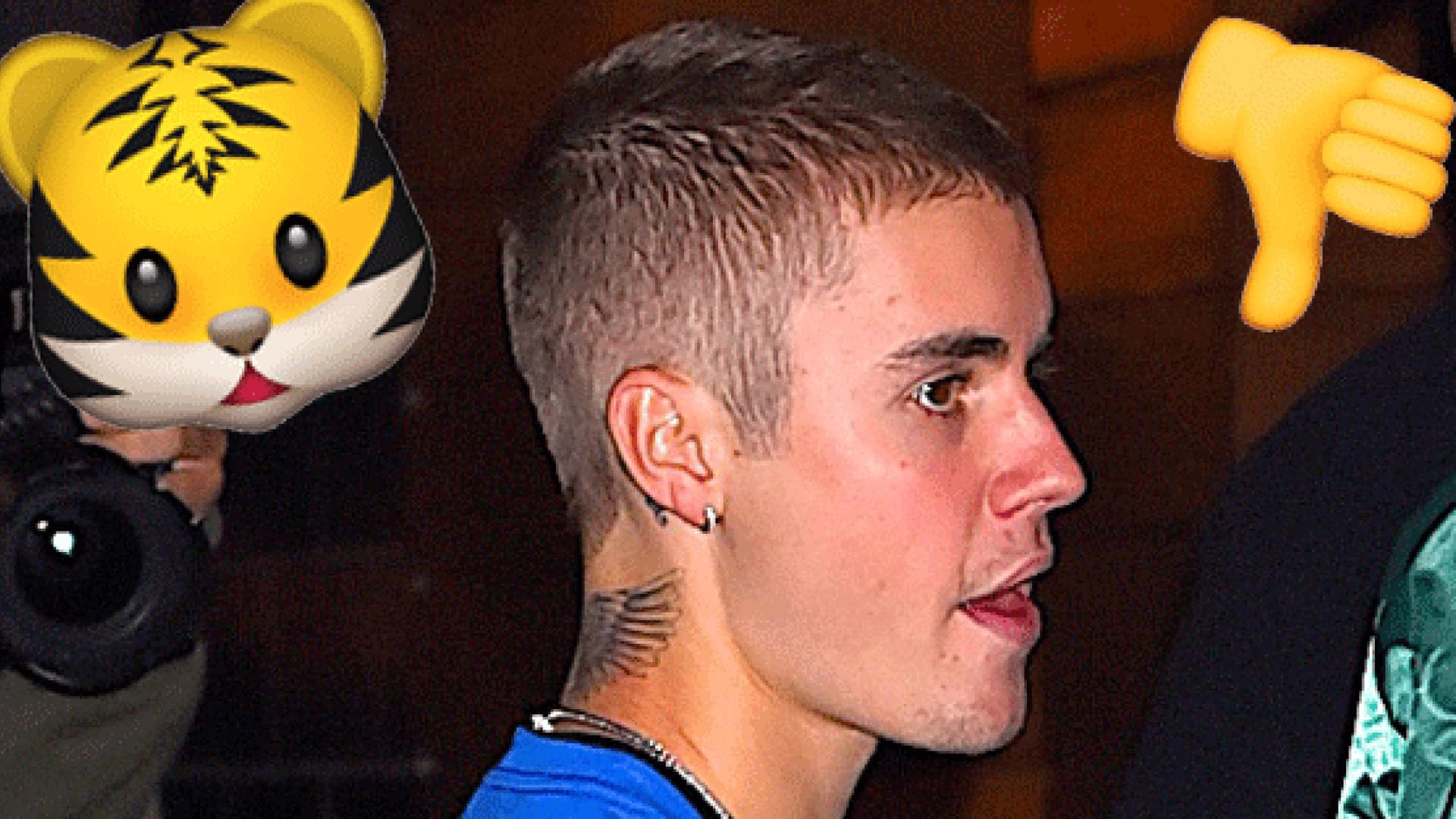 justin-bieber-tiger-foto-2118219.jpg