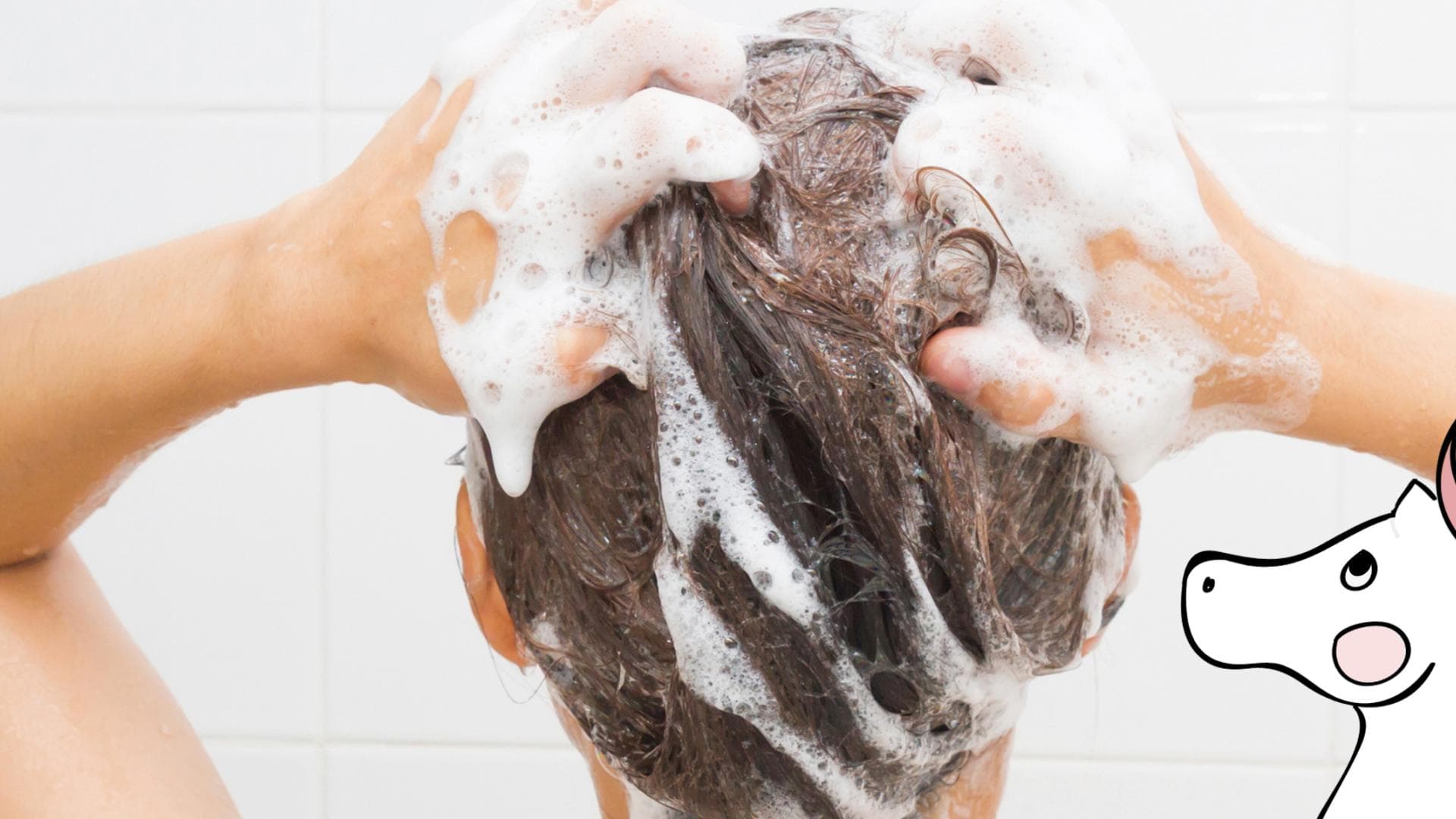 Pferdeshampoo-quer