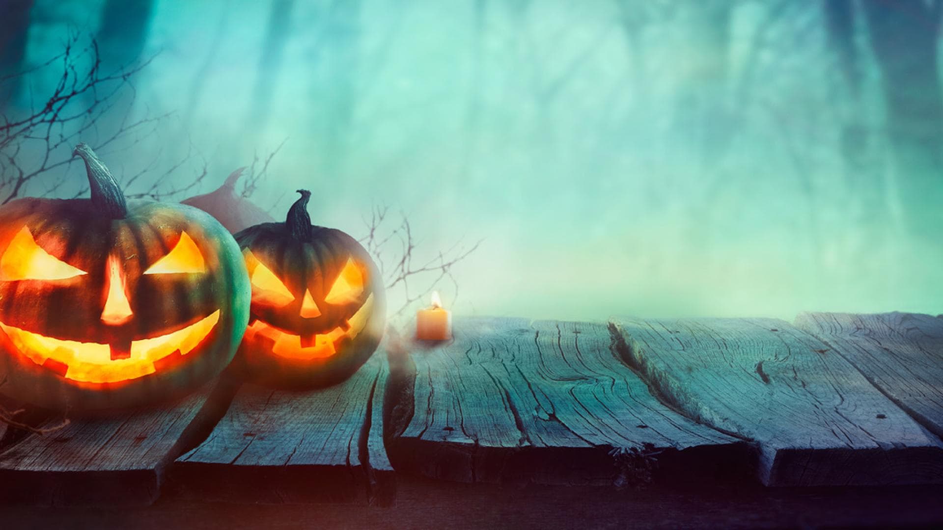 Halloween-Trends-2017 quer