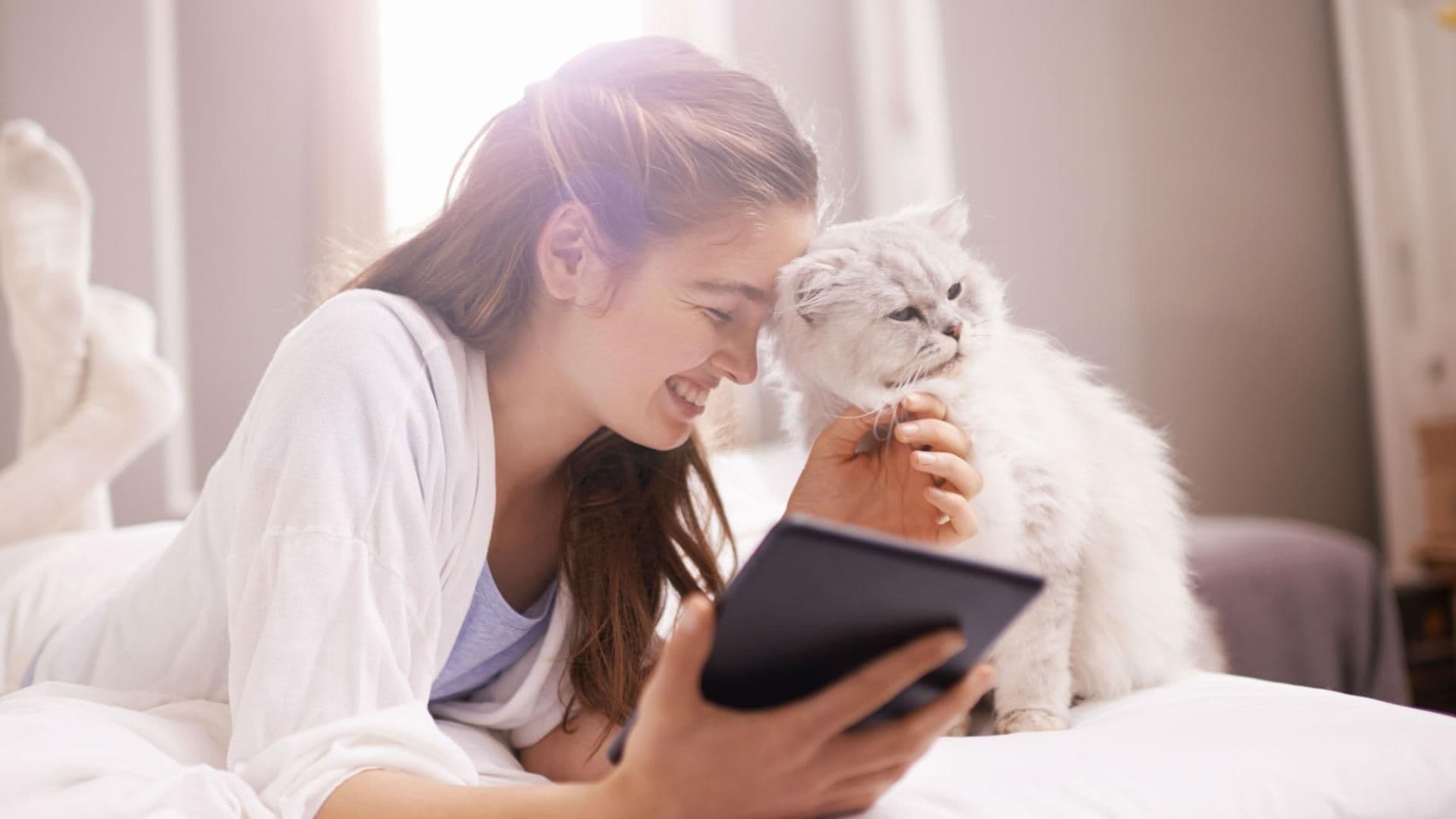 frauen-mit-katzen-quer