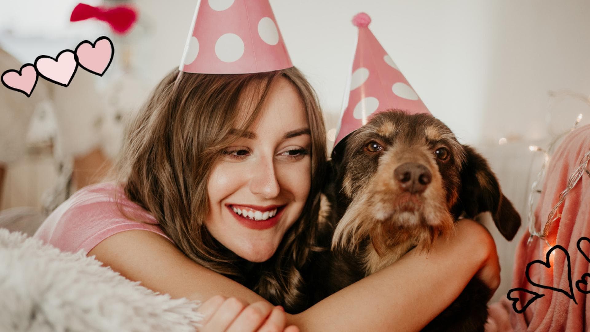 hunde-teaser-quer