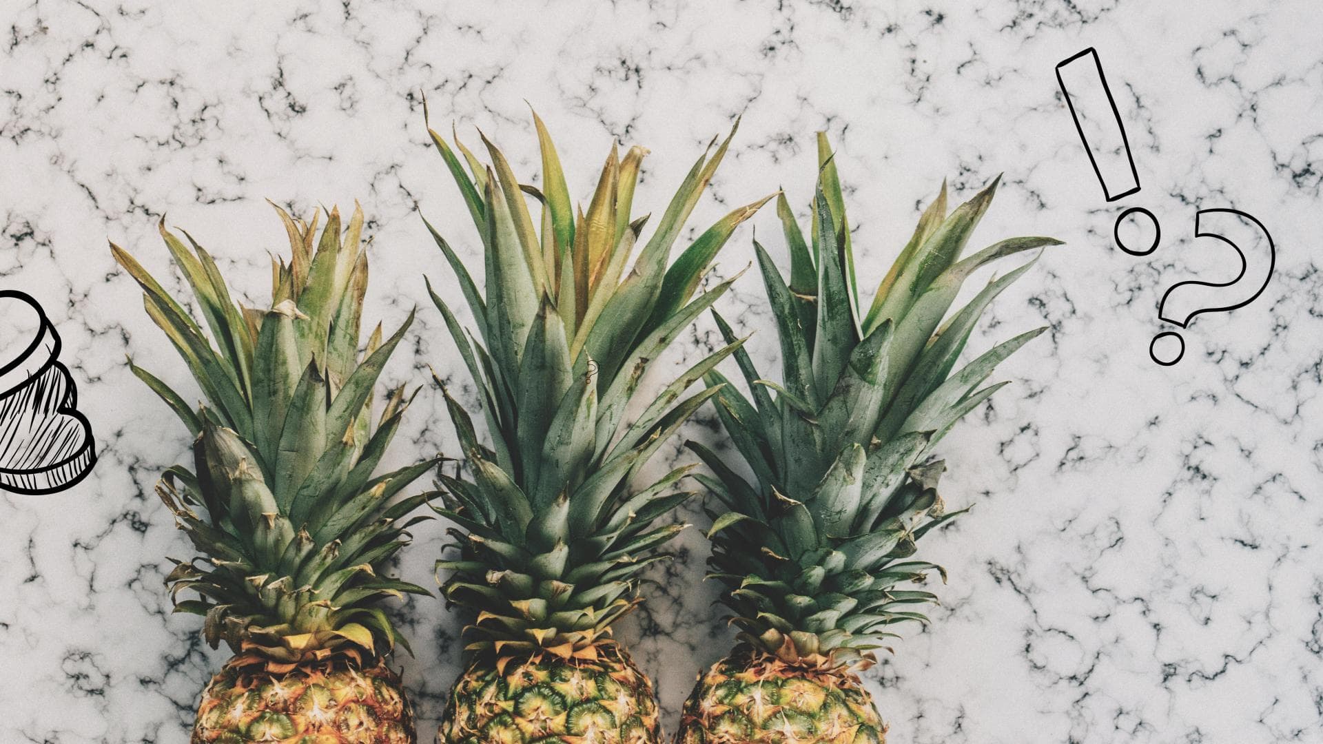 pineapple-supply-quer