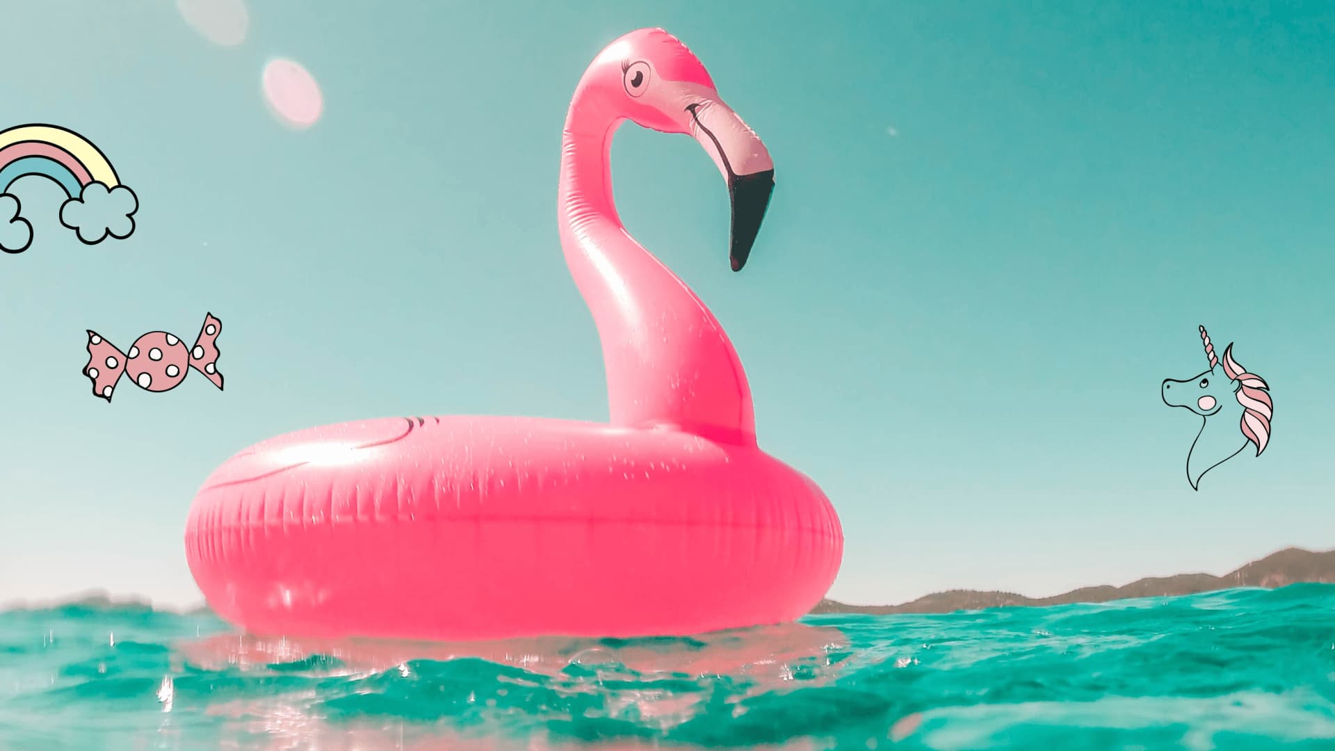 flamingo-quer