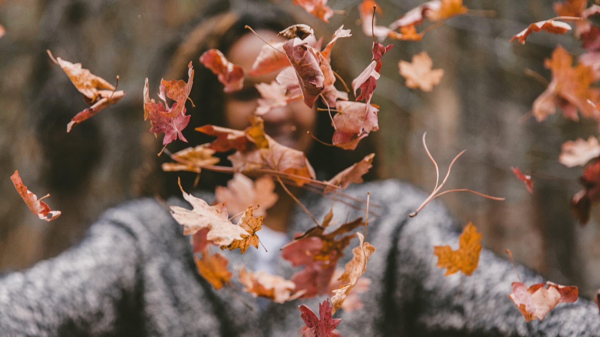 sachen-die-du-im-herbst-machen-kannst
