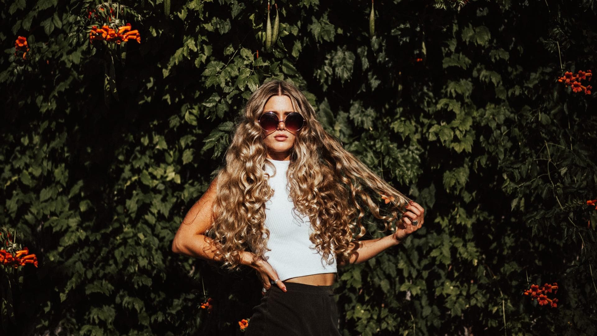 longhair-quer
