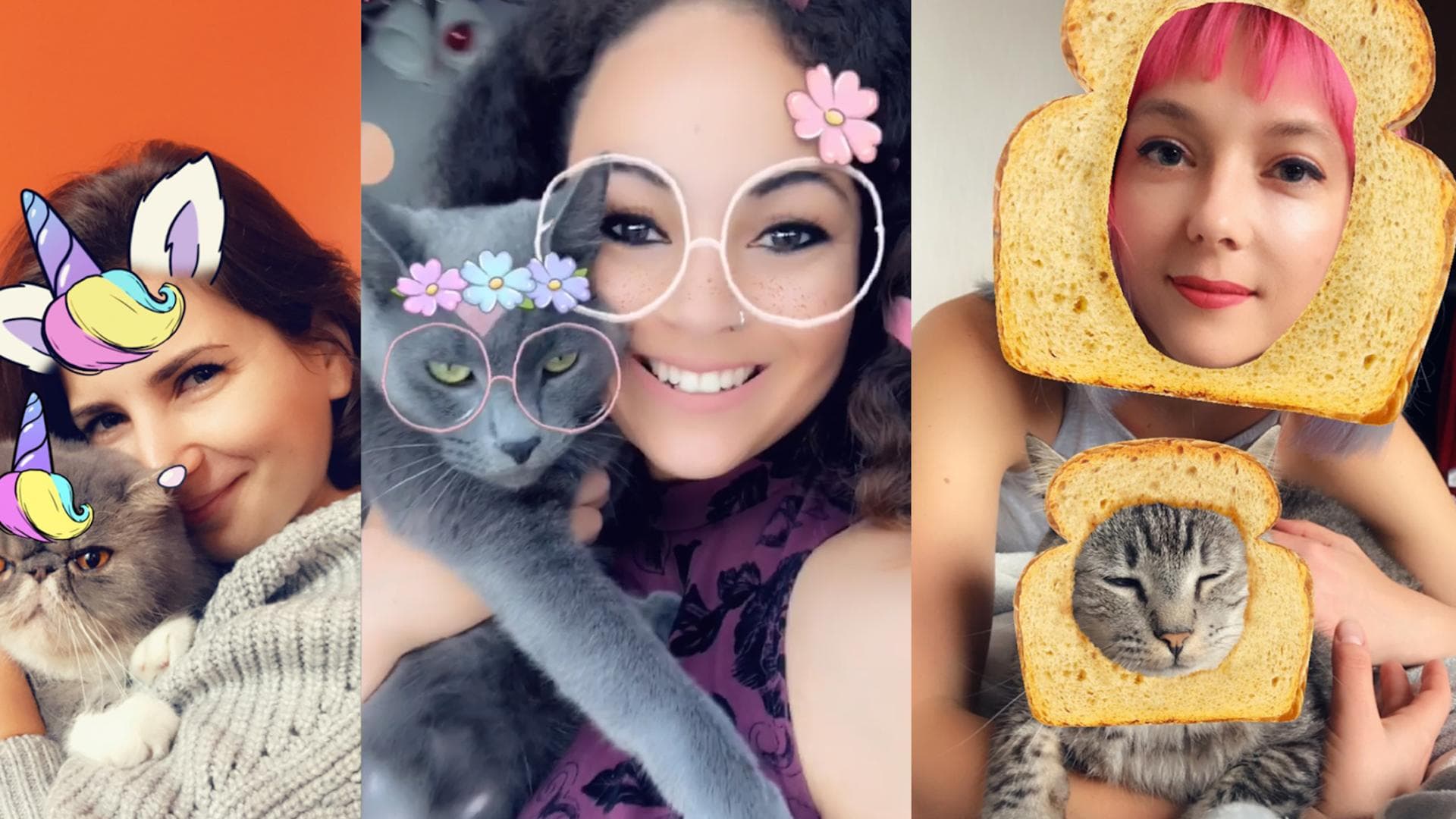 catfilterquer