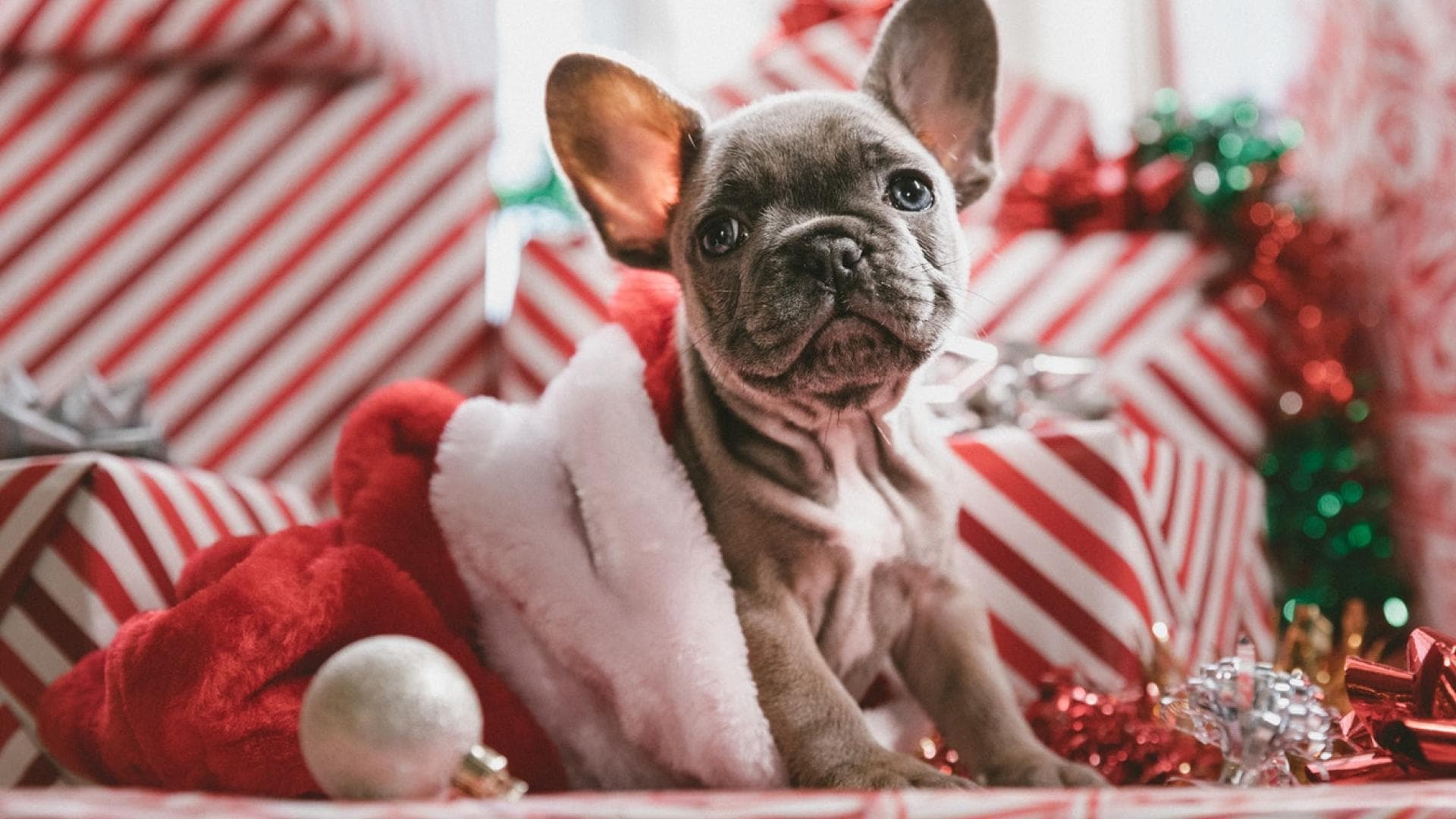 Photo by Jakob Owens on Unsplash