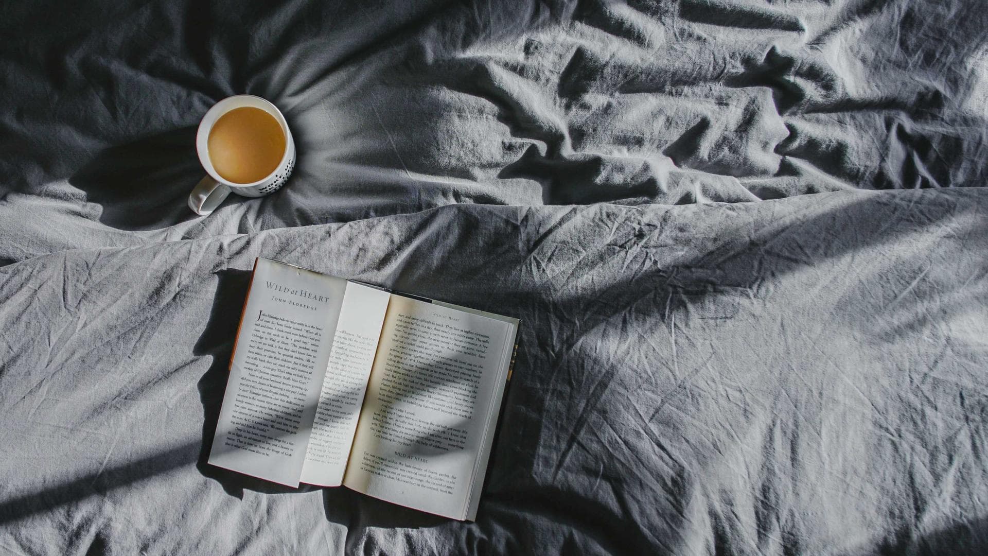 buchtipps-quer
