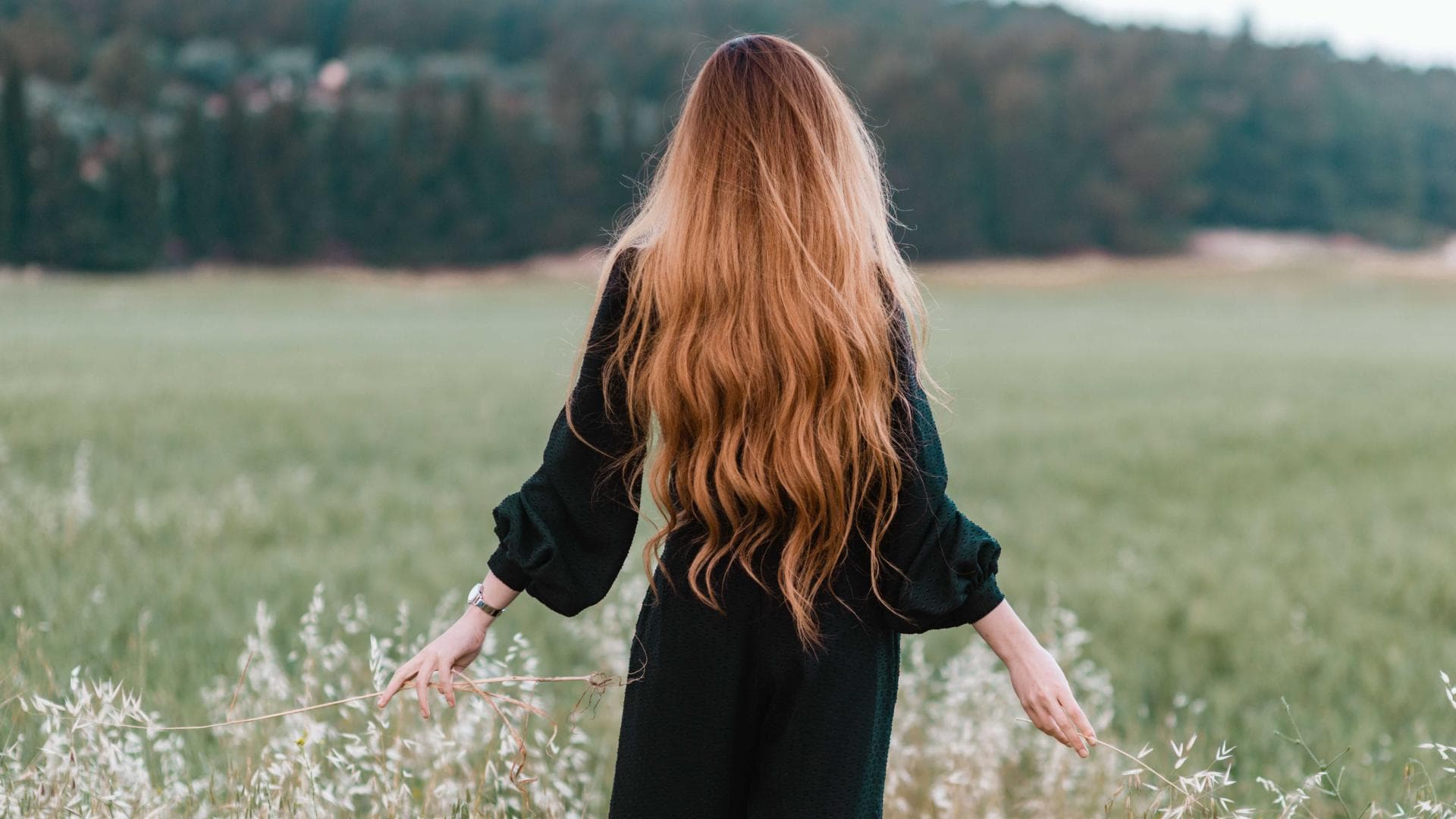 shampoos-fuer-haarwachstum-quer
