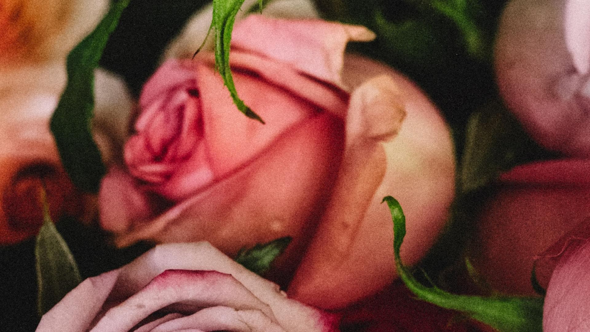 valentinstagrosen-quer