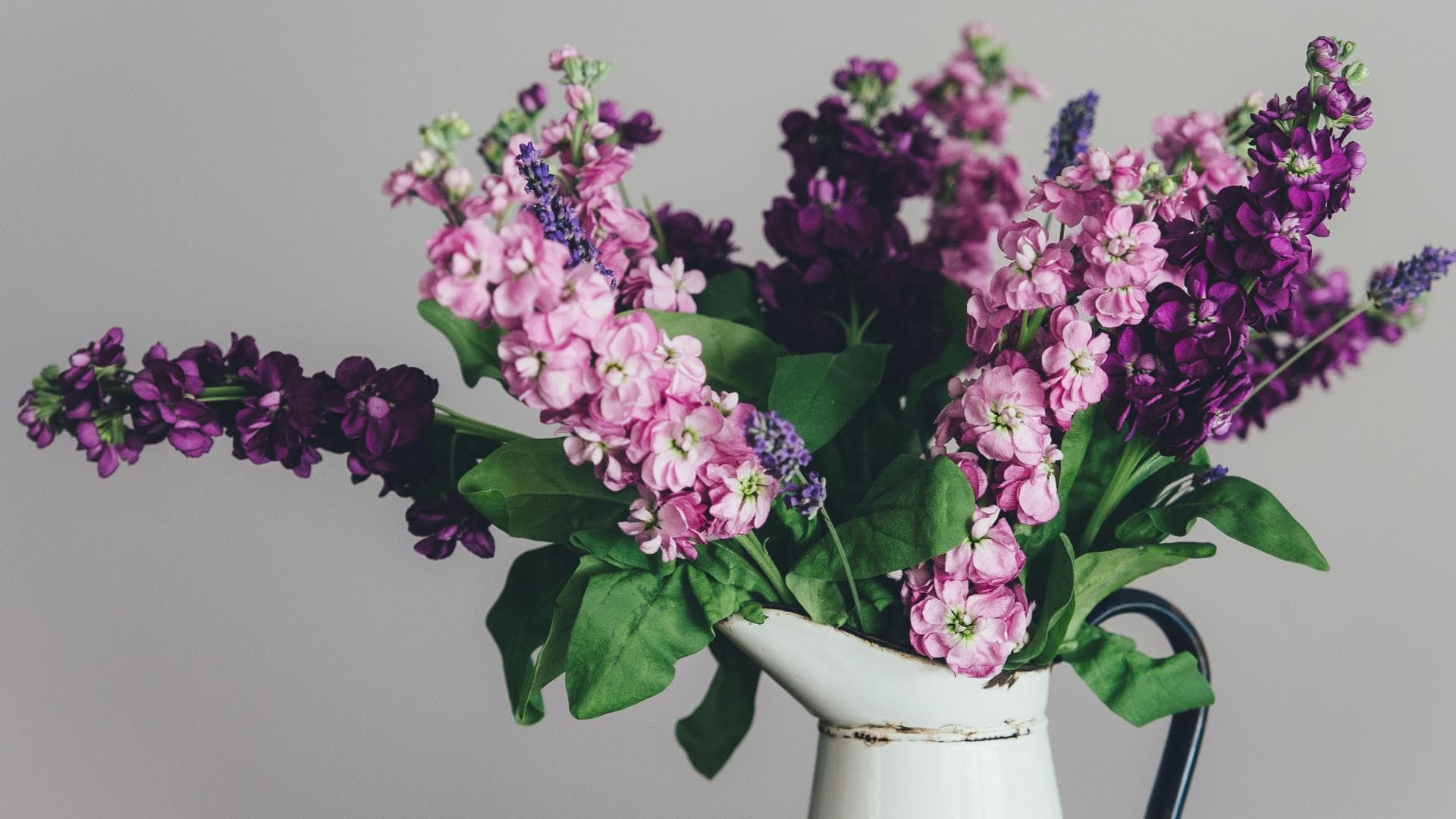 blumen-zum-muttertag-laut-sternzeichen-quer