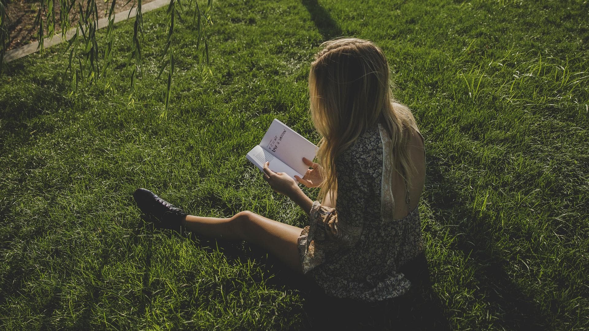 büchertipps-für-den-sommer-quer