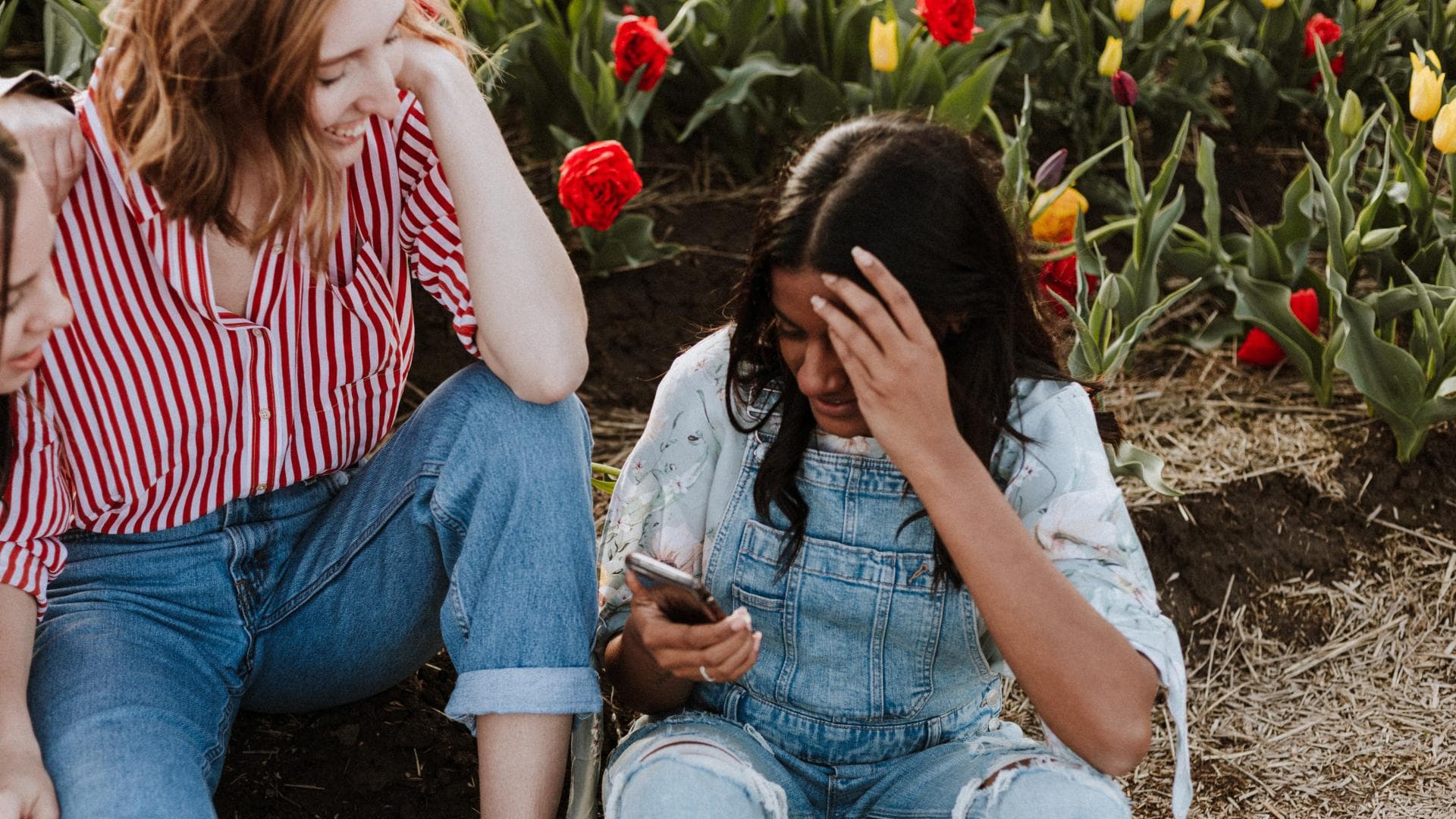 instagram-neues-tool-quer