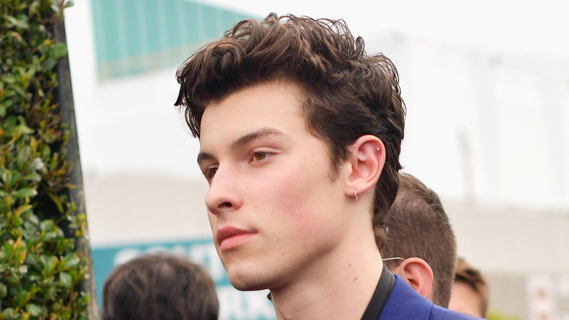 shawn-mendes-shitstorm-quer