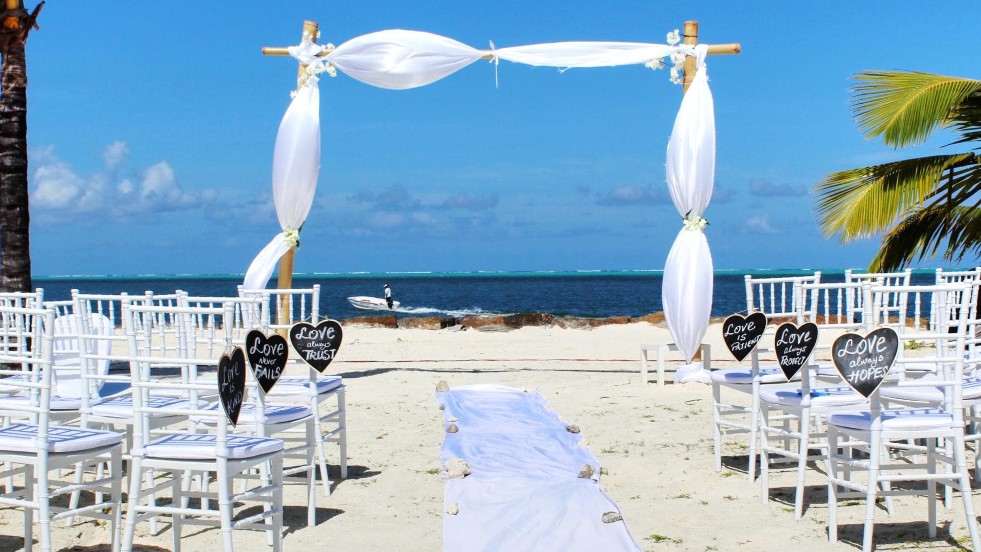 hochzeit-fuer-wasserratten-quer