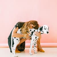 10 Dinge, die nur Hundebesitzer verstehen 10 Dinge, die nur Hundebesitzer verstehen