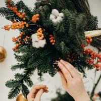 Zwei Hände mit Tannenzapfen 