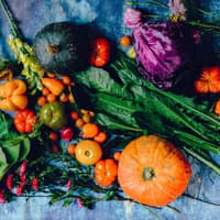 Buntes regionales Gemüse auf einem Tisch 