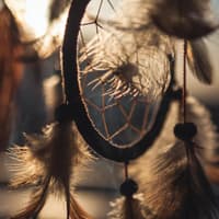 Traumfänger im Wind