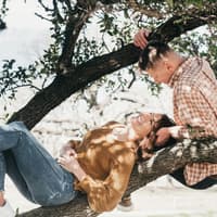 Der Unterschied zwischen Lieben und Mögen Ein Paar sitzt auf einem Baum und mag sich