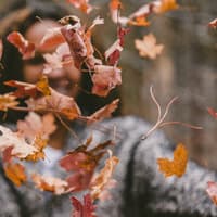 sachen-die-du-im-herbst-machen-kannst