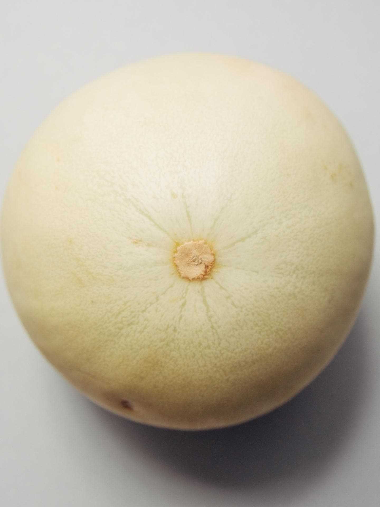 Melone