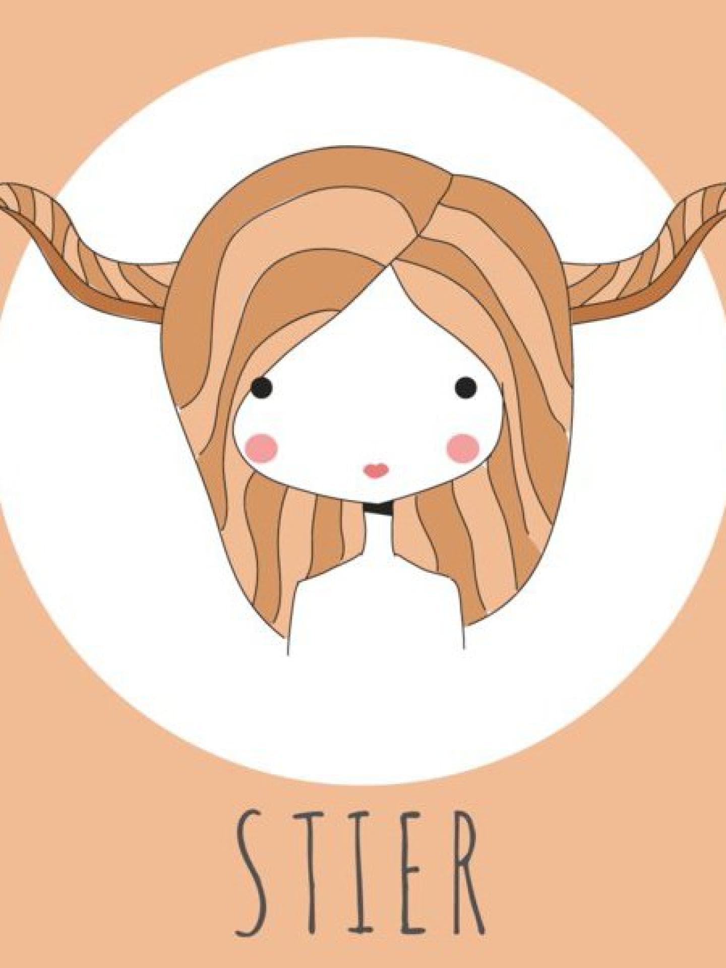 Stier Stier