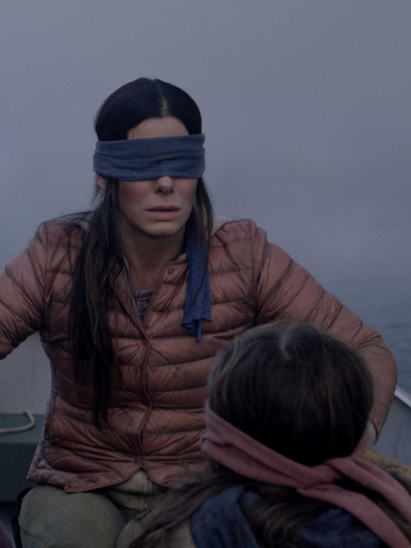 Bird Box Bird Box