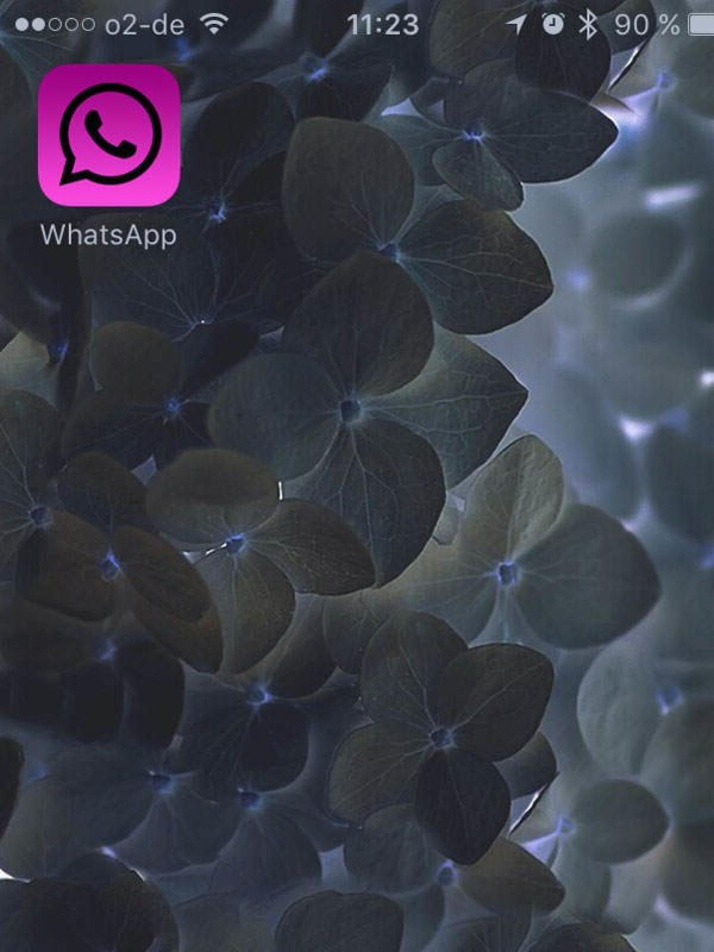 WhatsApp-Logo Pink machen WhatsApp-Logo Pink machen