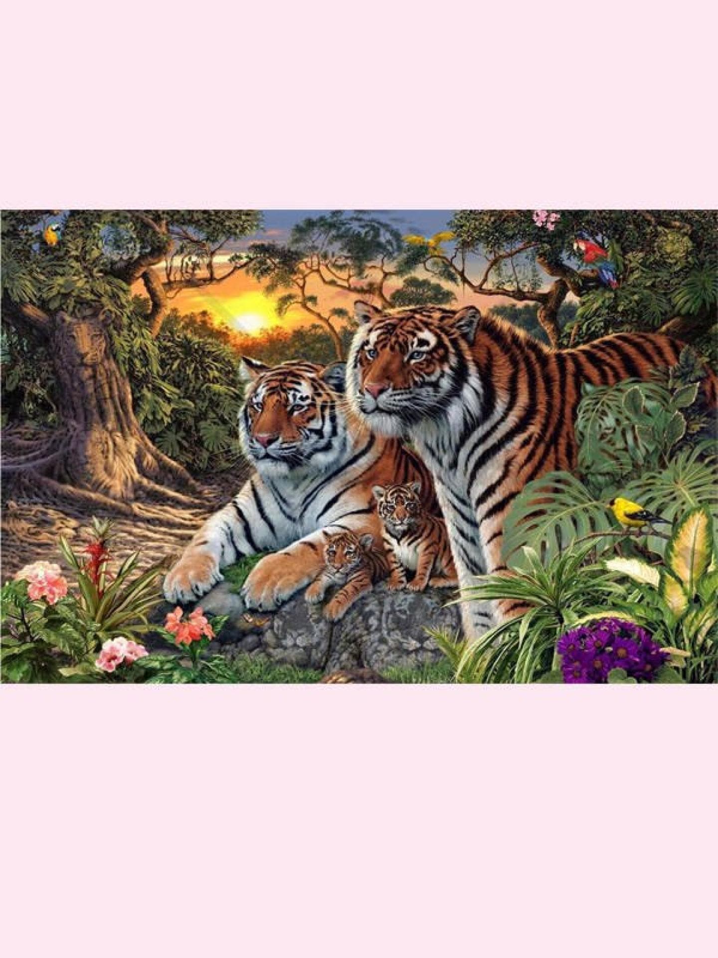 Wie viele Tiger? Wie viele Tiger?