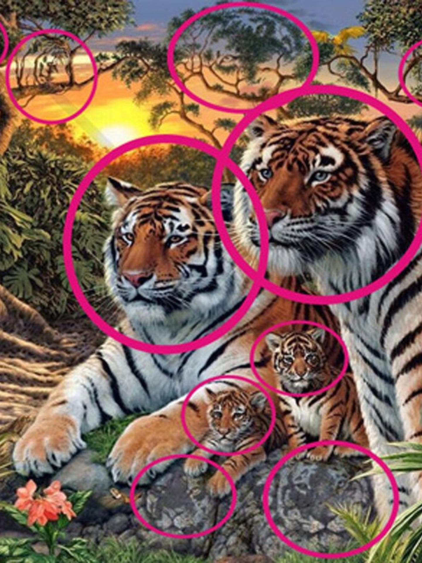 Wie viele Tiger? Lösung Wie viele Tiger? Lösung