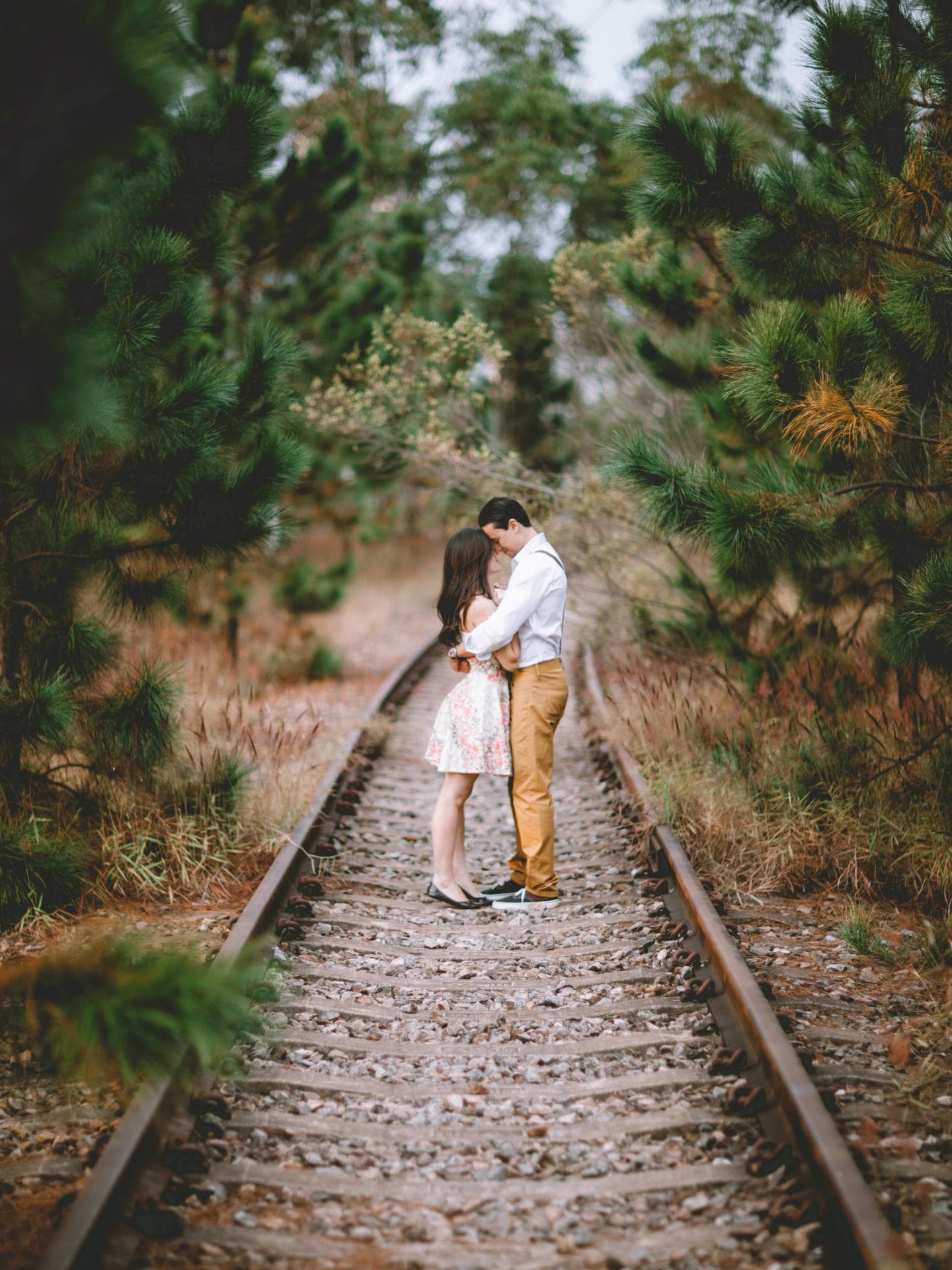 Liebesgeschichte: Summer Love
