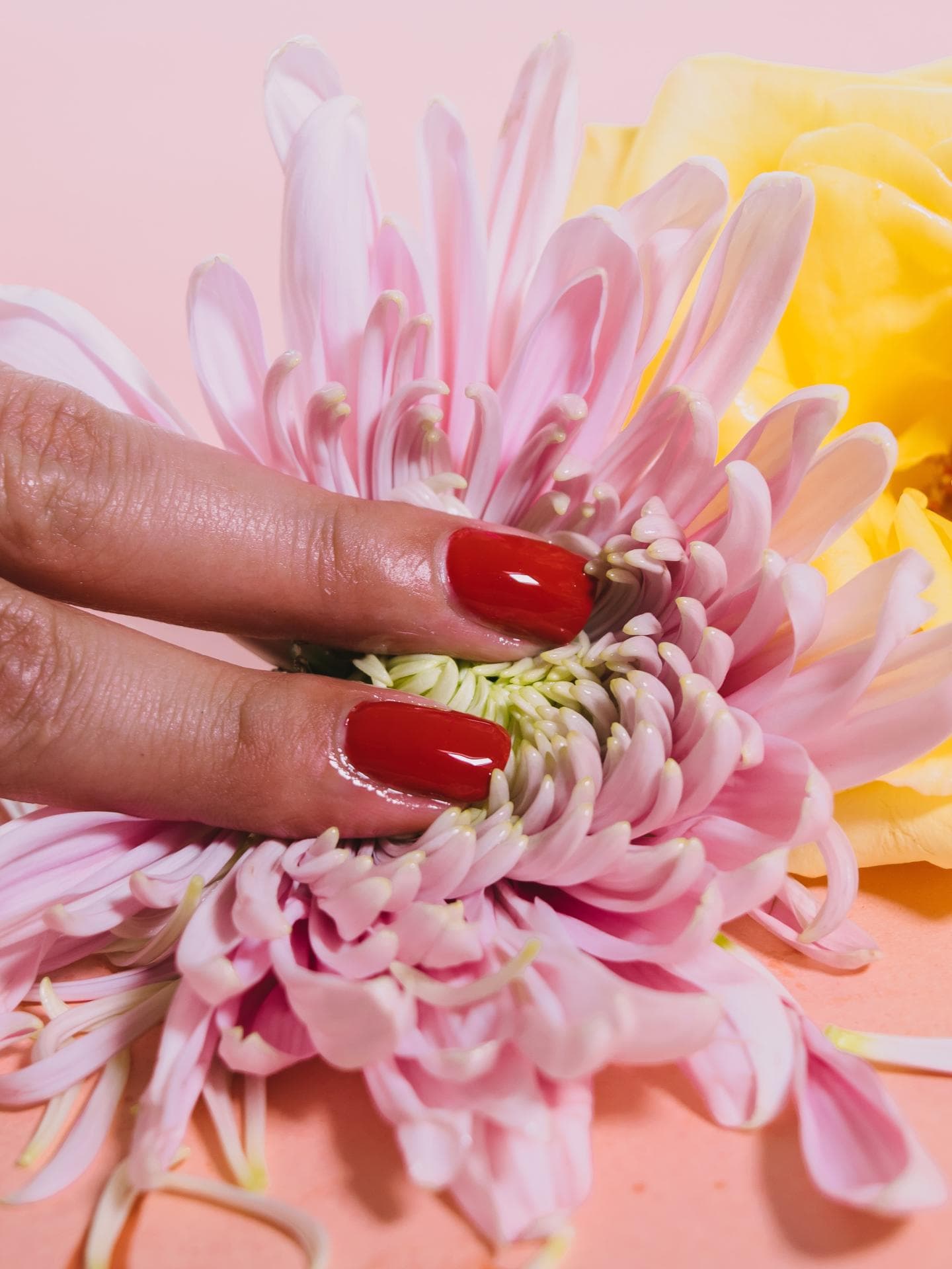 Finger pressen auf eine Blüte