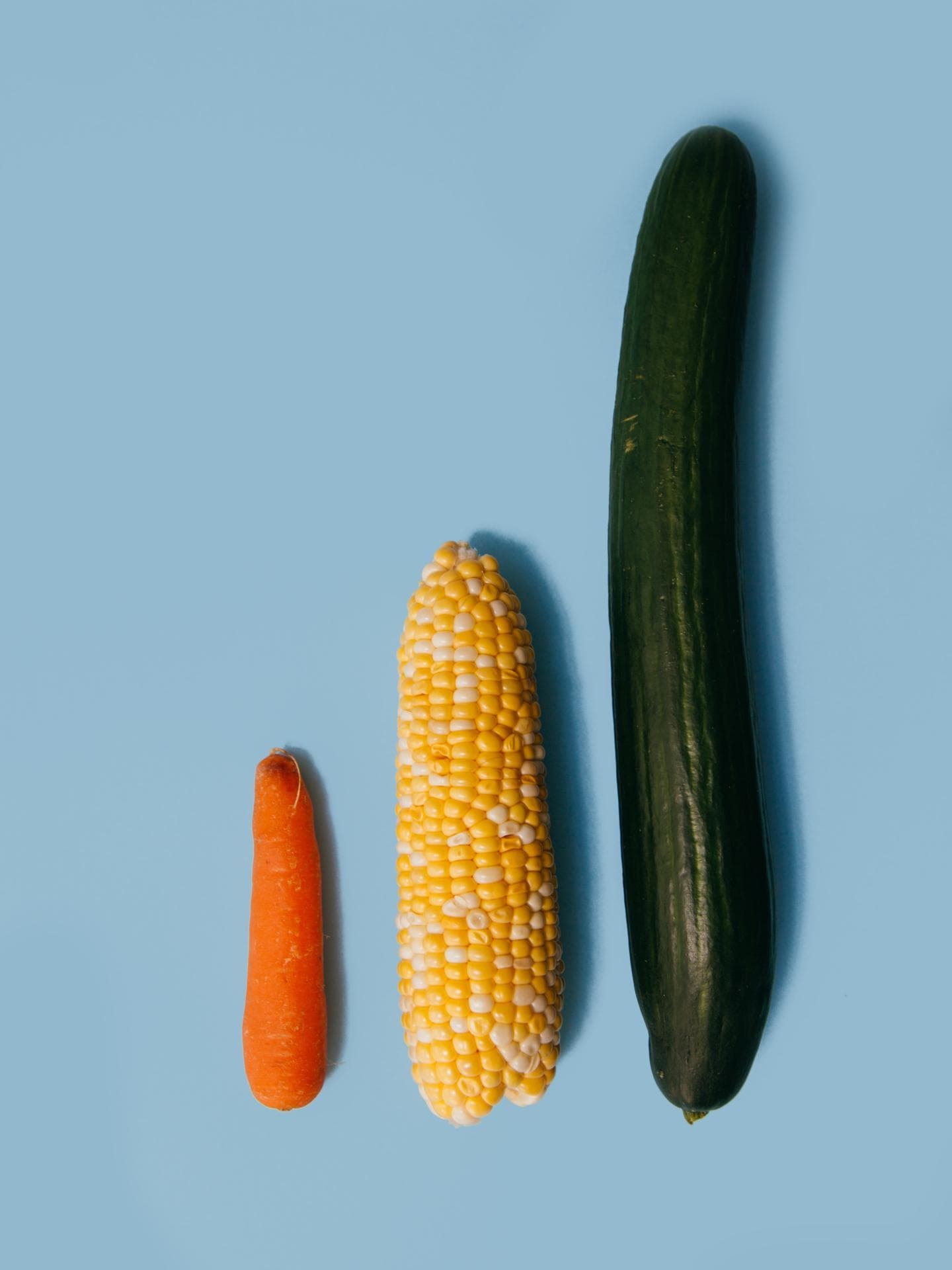 Gurke, Mais und Karotte nebeneinander