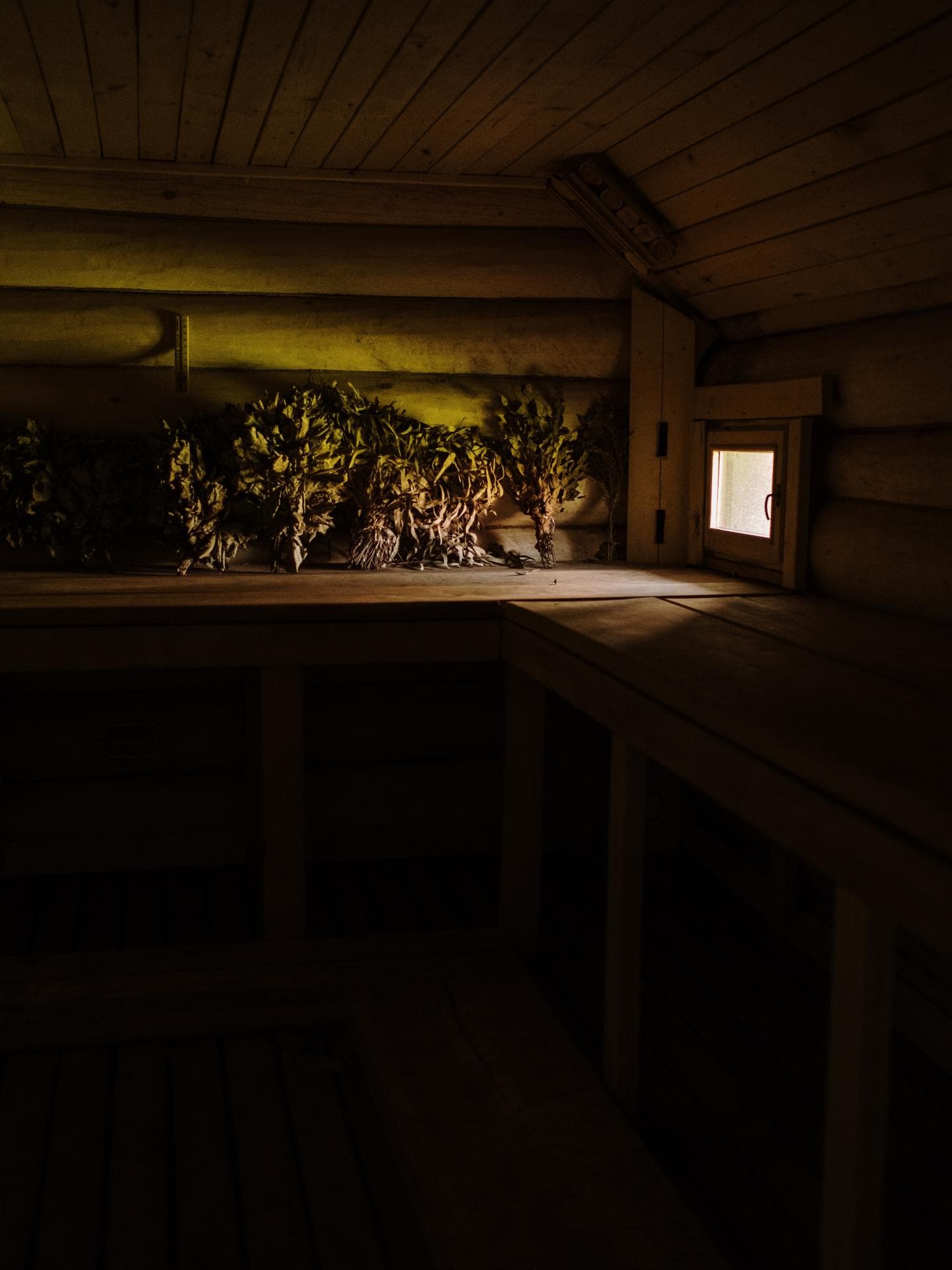 Sex in der Sauna