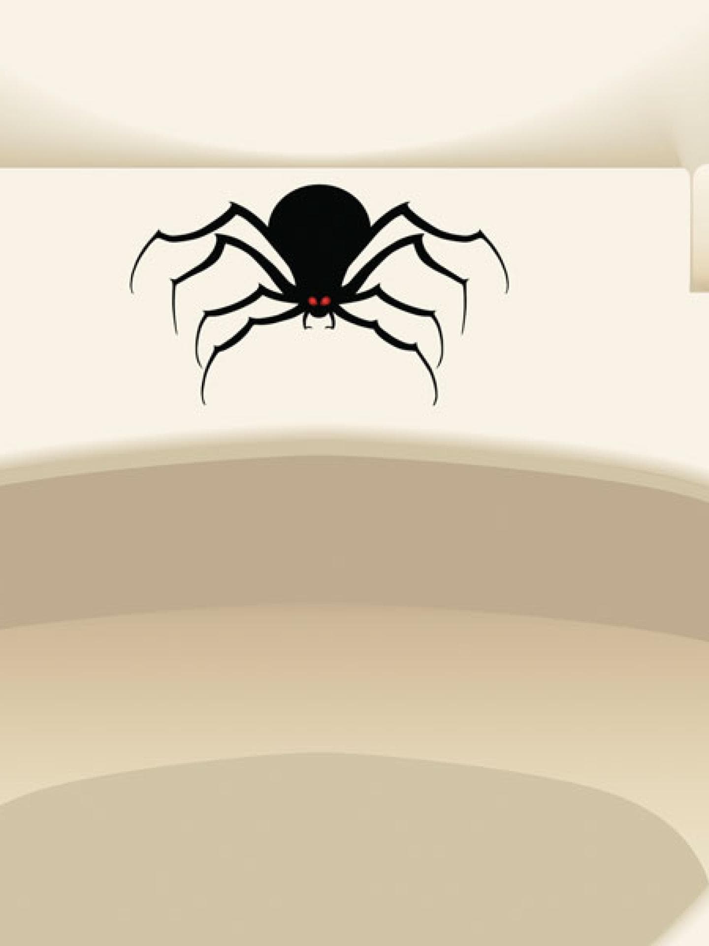 Spinne-im-Klo-runterspülen-Aufmacher-quer