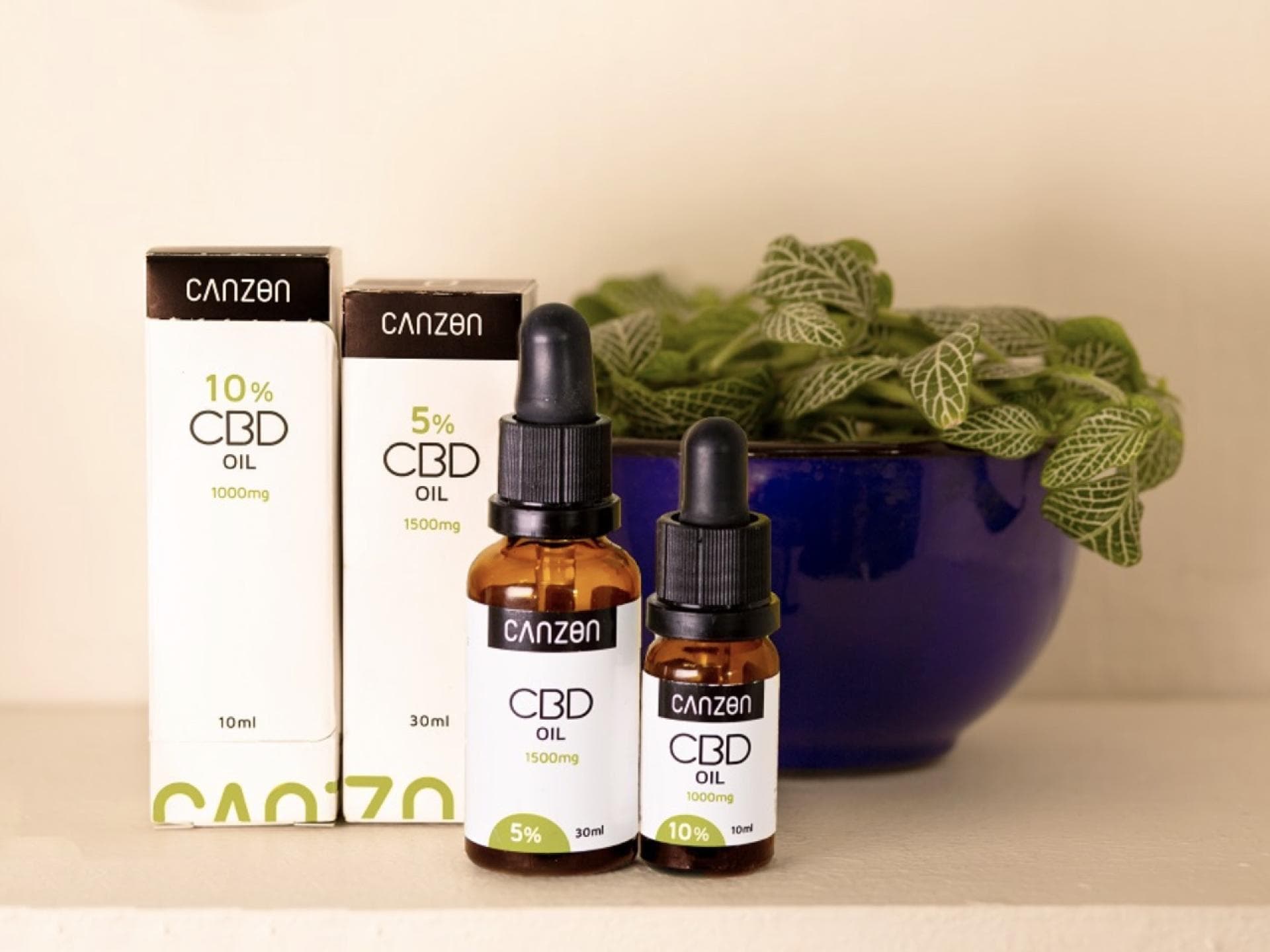 CBD Oil