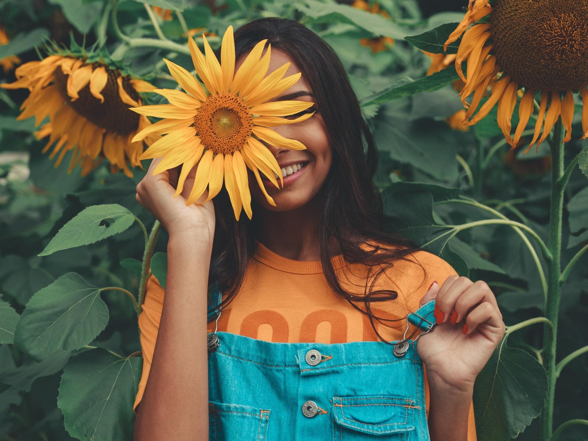 Horoskop: Die Glücks-Sternzeichen des Tages Horoskop: Junge Frau versteckt sich hinter Sonnenblume