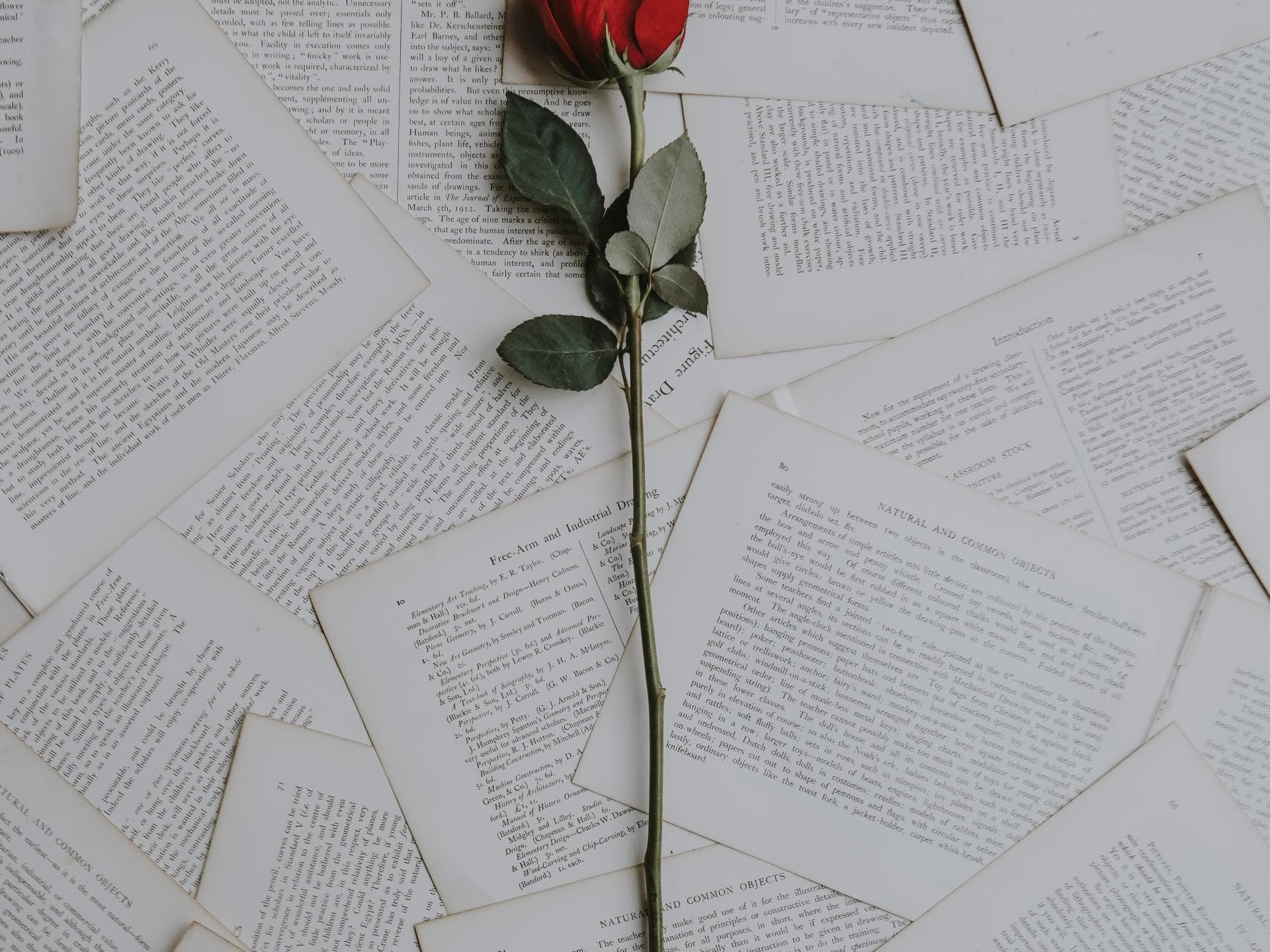 Ich liebe dich Texte
