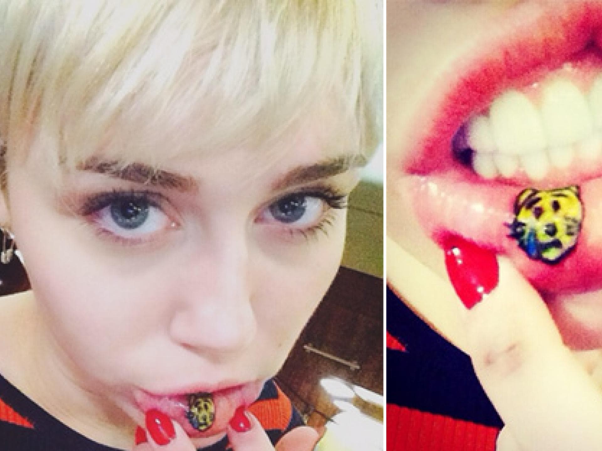 miley-577-1930424.jpg miley-577-1930424.jpg
