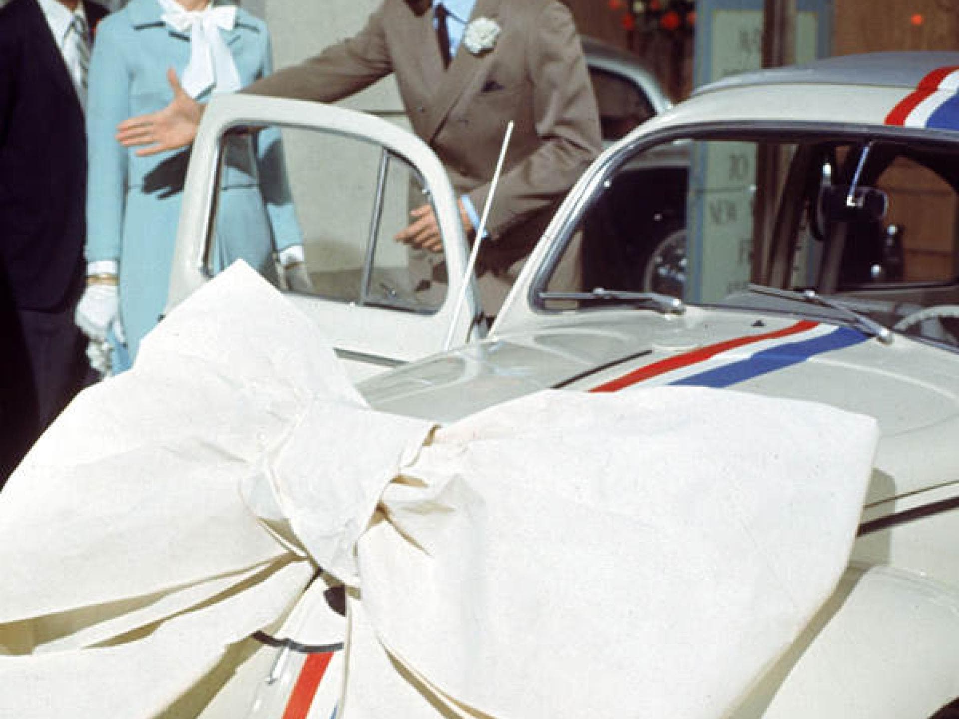 Ein toller Käfer: Platz 6