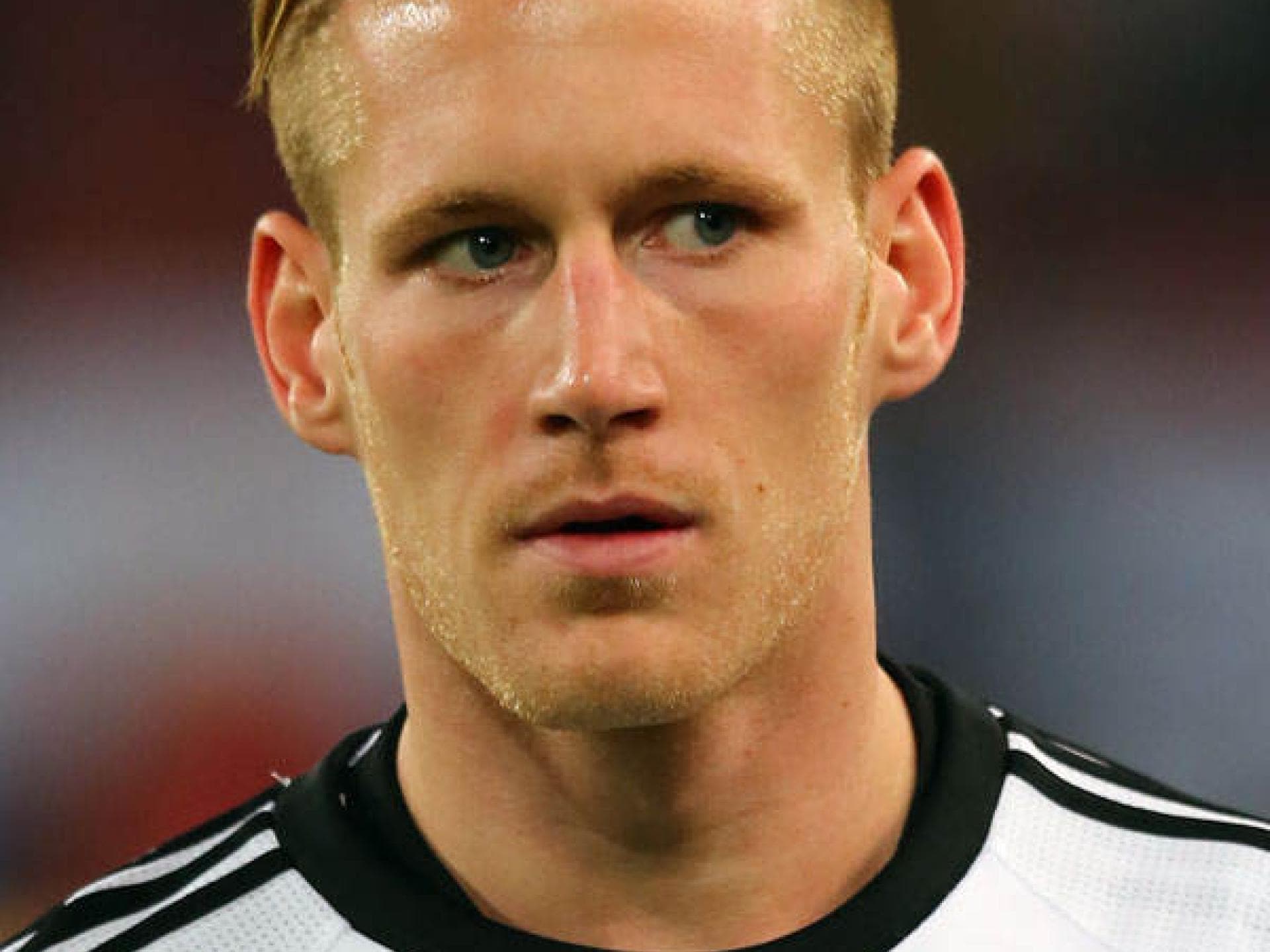 André Hahn - Deutschland