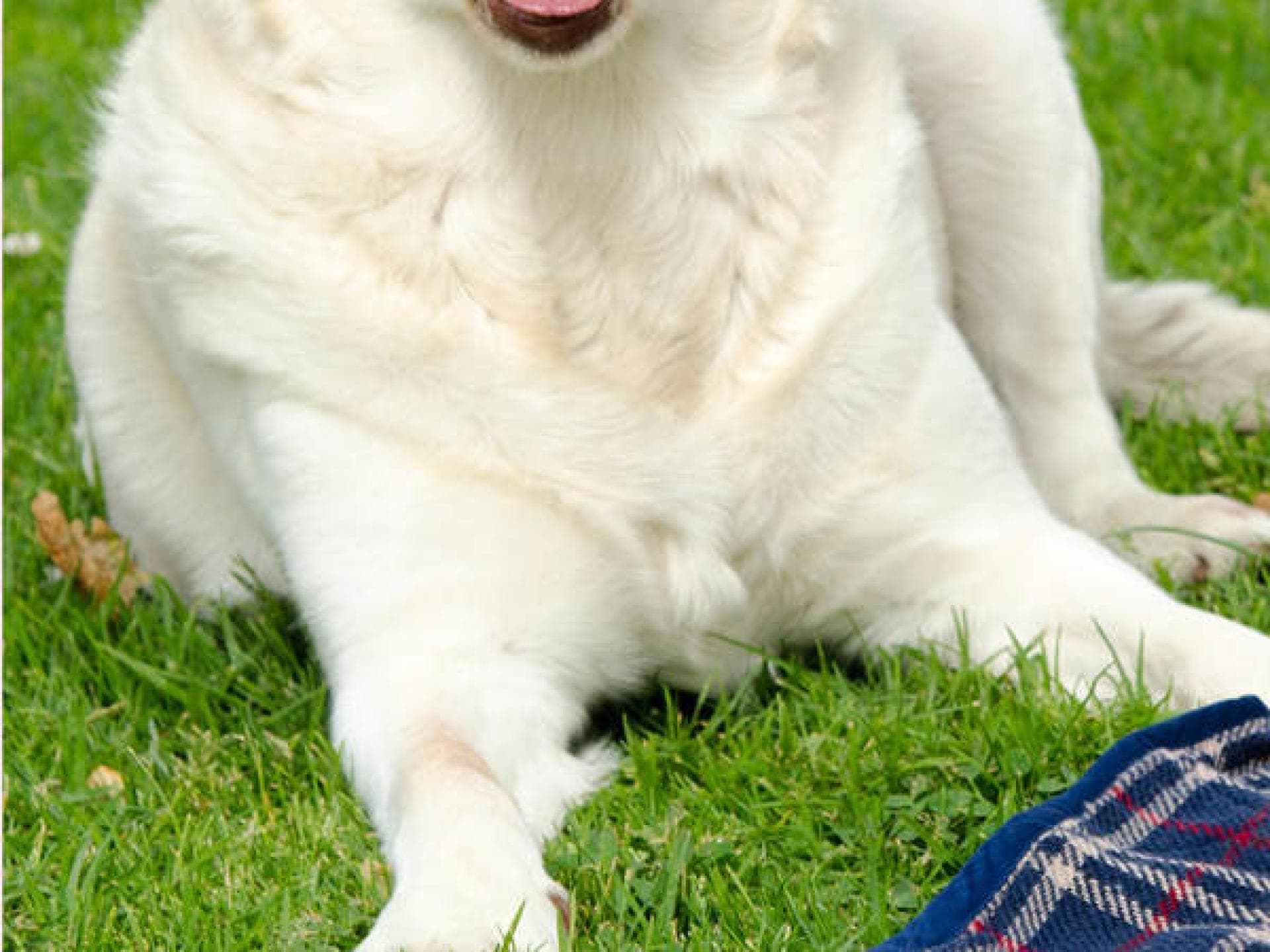 Immer ein offenes Ohr