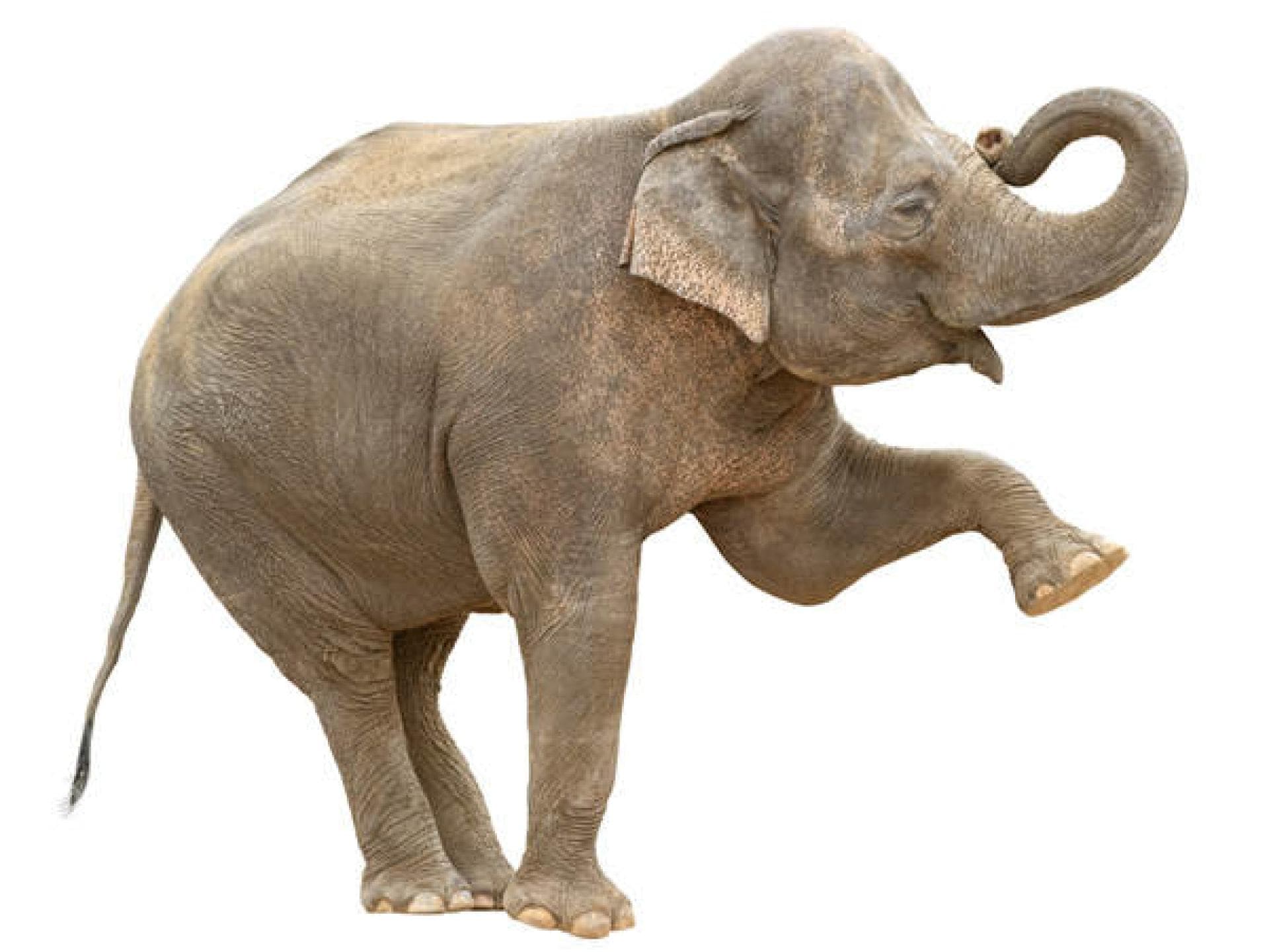 Komplex: Meine Nase ist riesig